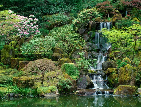 Пейзажный сад с водопадом