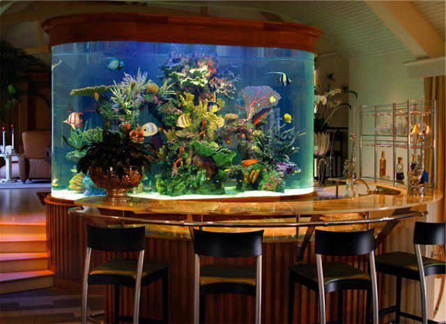 Рыбы, сделайте ремонт в одной комнате, и установите в ней большой аквариум