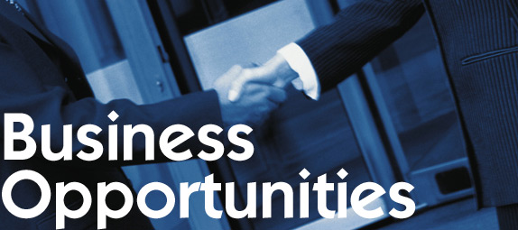fdismerchantservices business opportunities 1