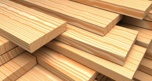 Новые технологии в использовании древесины в строительстве
